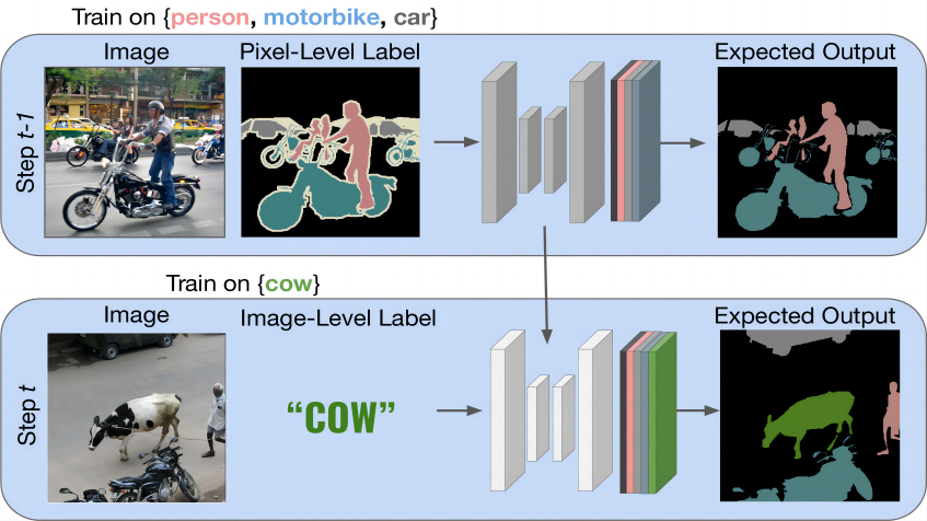 Incremental Semantic Segmentation